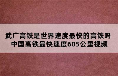 武广高铁是世界速度最快的高铁吗 中国高铁最快速度605公里视频